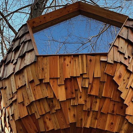 T'Glamp Bee House Hotel Rovte Екстериор снимка
